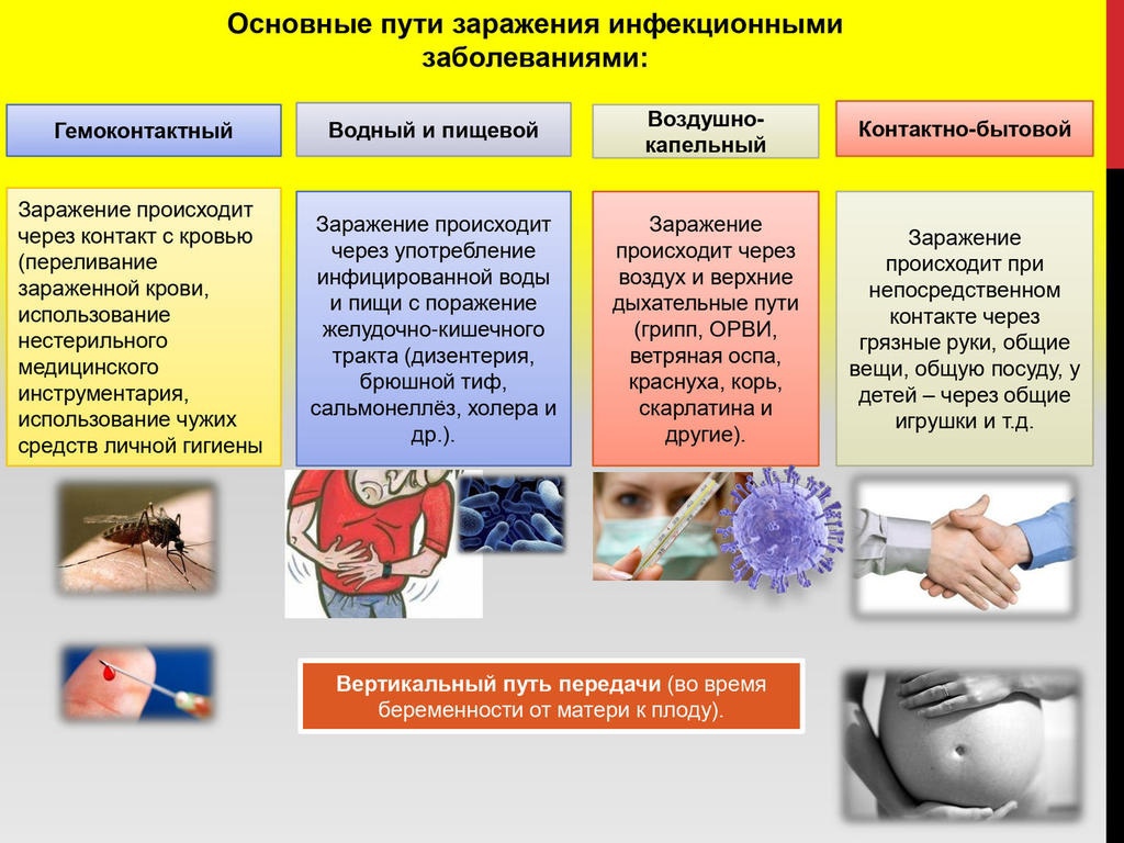 Инфекционные болезни в картинках и схемах